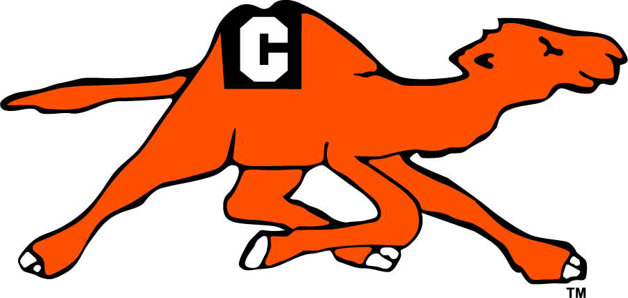 Campbell Fighting Camels 1993-2005 Alternate Logo diy iron on heat transfer
